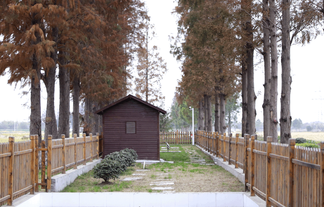 雙良商達(dá)簽訂嘉善縣1620萬元農(nóng)村污水運(yùn)維服務(wù)合同