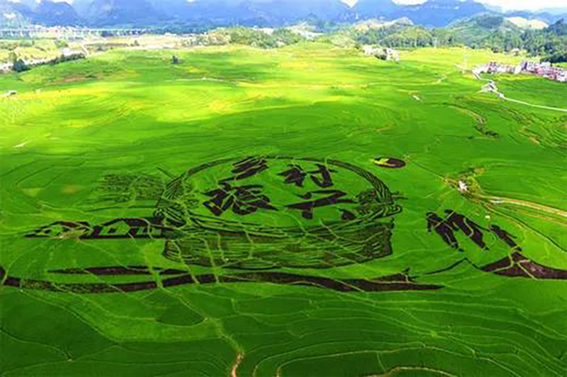 江蘇：關(guān)于加強(qiáng)農(nóng)業(yè)農(nóng)村污染治理促進(jìn)鄉(xiāng)村生態(tài)振興行動(dòng)計(jì)劃