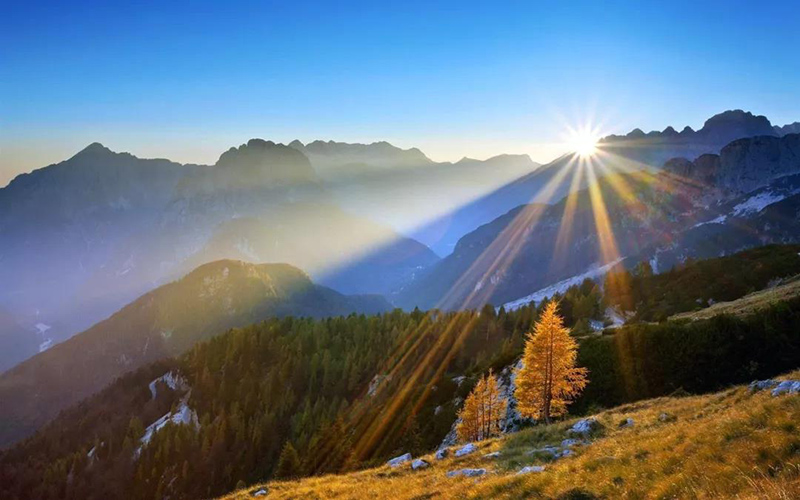 農(nóng)業(yè)農(nóng)村部：鄉(xiāng)村振興5年內(nèi)投7萬(wàn)億