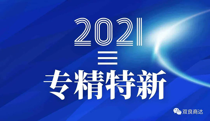 雙良商達入選浙江省“專精特新”企業(yè)名單
