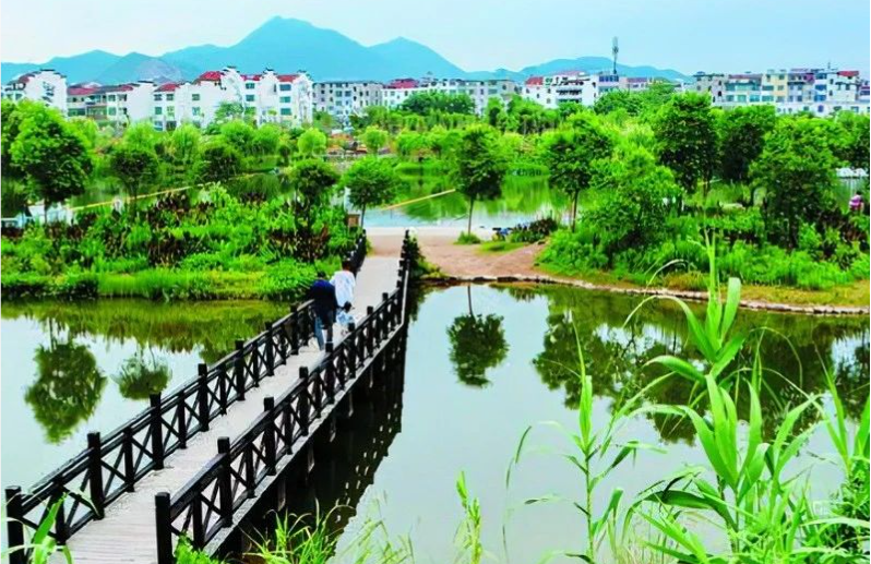 《中國環(huán)境報》頭版頭條：浙江構建降碳、減污、擴綠、增長整體智治體系