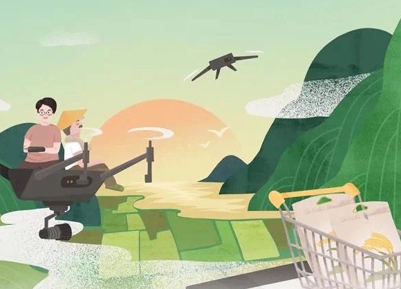 全國(guó)唯一！浙江明確“156”工作體系，全面推進(jìn)數(shù)字鄉(xiāng)村引領(lǐng)區(qū)建設(shè)