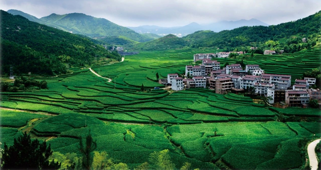 2023年中央一號文件，與生態(tài)環(huán)保息息相關的內容有哪些？