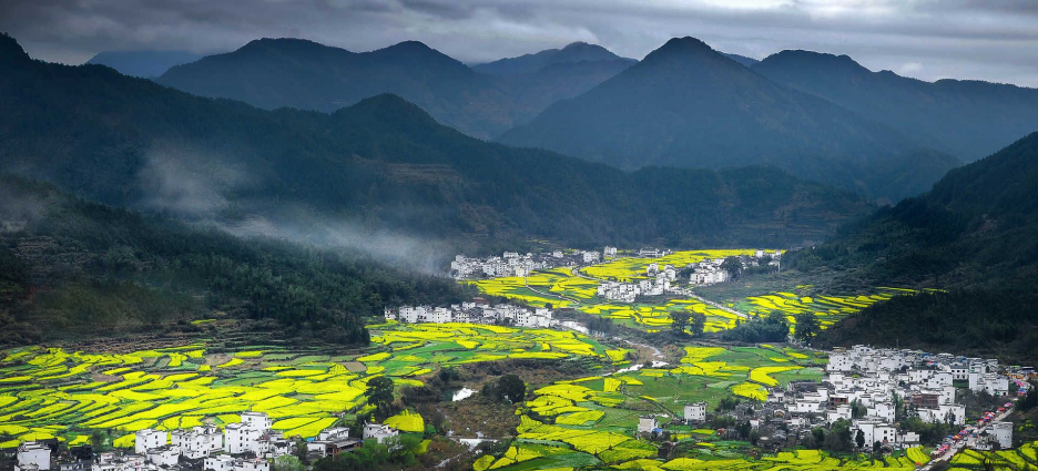 農業(yè)農村部一號文件發(fā)布：統(tǒng)籌推進農村生活污水和垃圾治理！