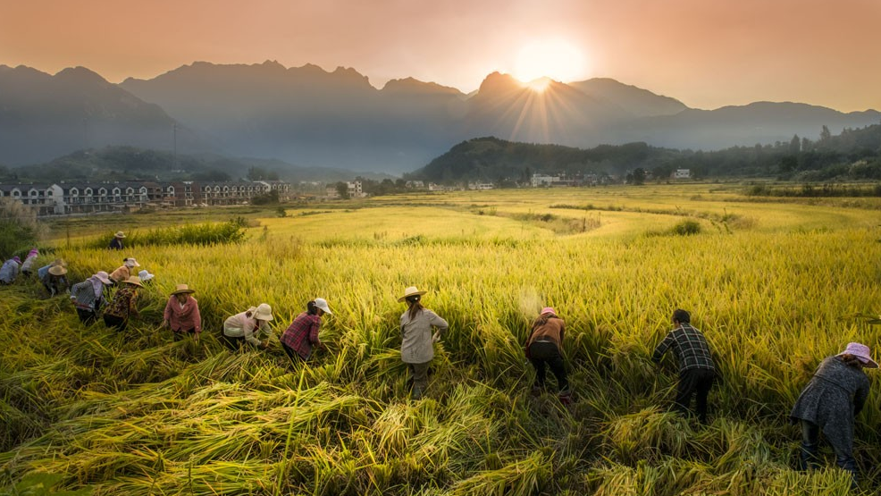 河南七部門聯合發(fā)布《河南省減污降碳協(xié)同增效行動方案》