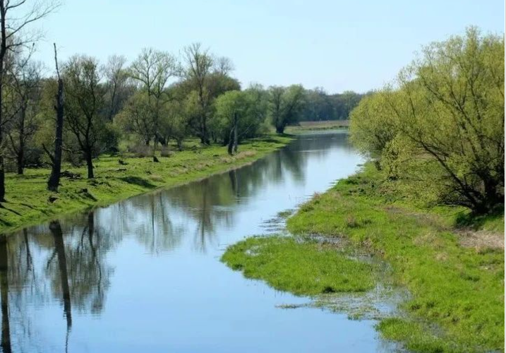 國家鄉(xiāng)村振興局一號文件發(fā)布：抓好農村人居環(huán)境整治提升