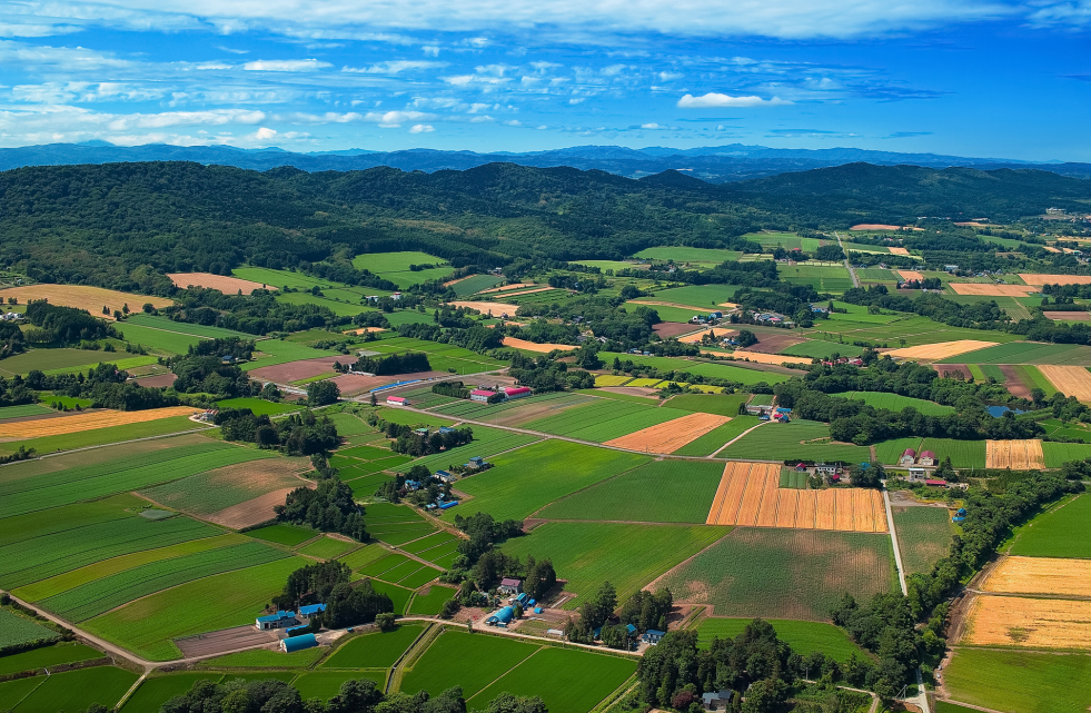 2023年鄉(xiāng)村振興項目申報及政策補貼匯總，支持鄉(xiāng)鎮(zhèn)污水處理、農(nóng)村人居環(huán)境整治、智慧農(nóng)業(yè)和數(shù)字鄉(xiāng)村等領(lǐng)域