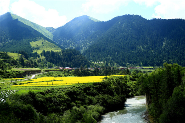 建設(shè)村莊垃圾收集點、鄉(xiāng)鎮(zhèn)垃圾轉(zhuǎn)運站，《甘肅省鄉(xiāng)村建設(shè)行動實施方案》明確這些要求！