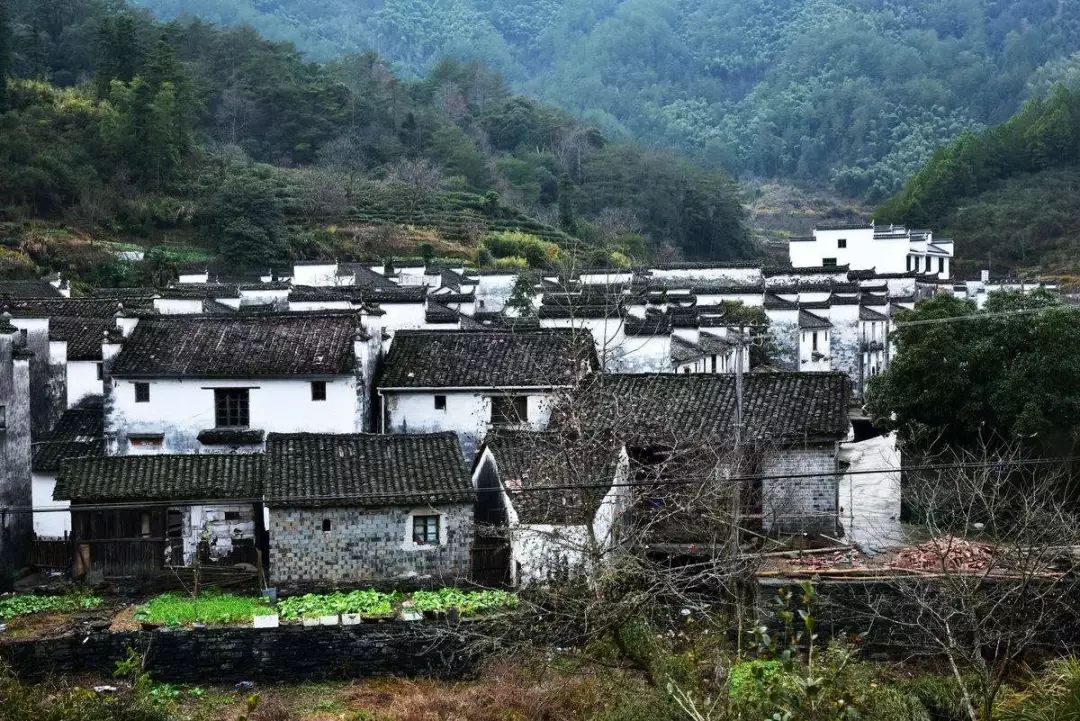 七部門明確！在農(nóng)村人居環(huán)境整治提升中統(tǒng)籌考慮減污降碳要求