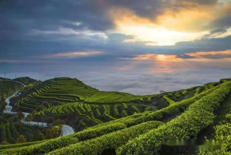 農(nóng)業(yè)農(nóng)村部：到2025年建設(shè)1000家國(guó)家級(jí)生態(tài)農(nóng)場(chǎng)