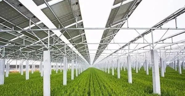 “光伏+農(nóng)業(yè)”八大新模式，一個(gè)正在打開的未來！