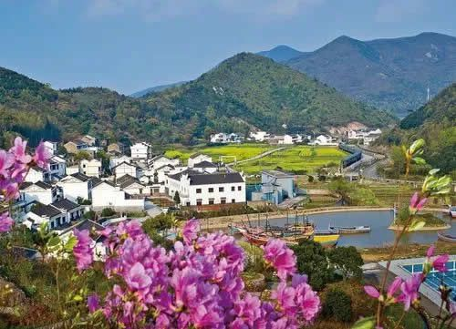 農(nóng)業(yè)農(nóng)村部答復關(guān)于建立鄉(xiāng)村振興國家級產(chǎn)業(yè)示范區(qū)的提案