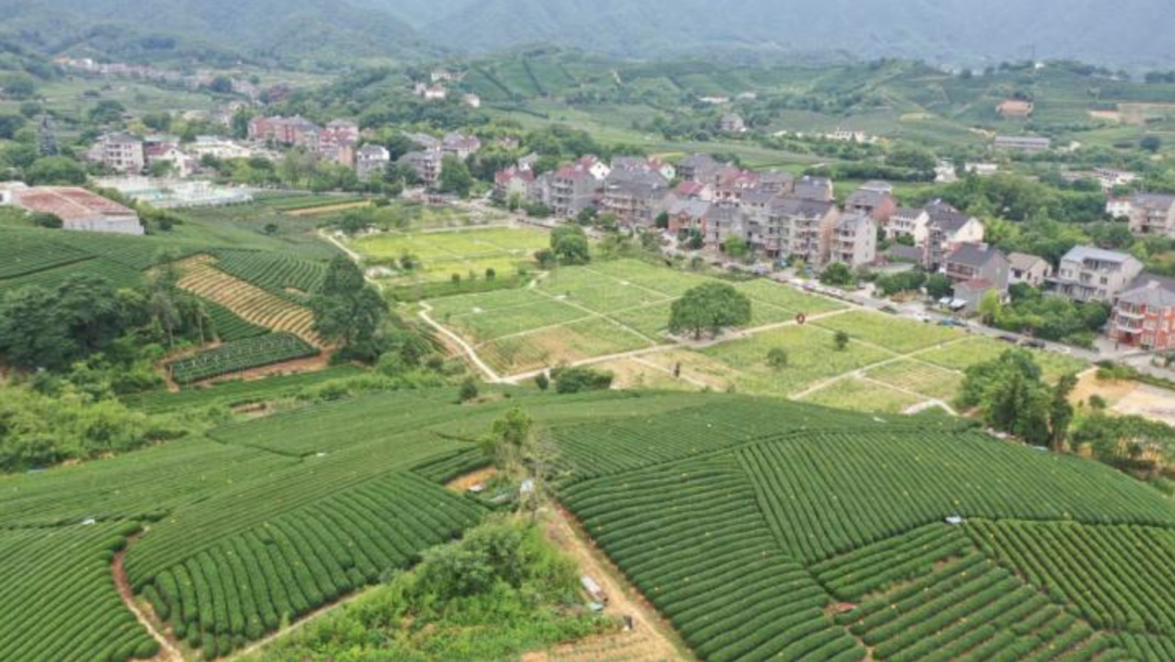 農(nóng)業(yè)農(nóng)村部辦公廳關(guān)于深入學(xué)習(xí)浙江“千萬工程”經(jīng)驗的通知