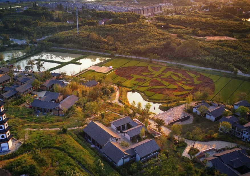 綠水青山何以成為金山銀山？“解碼”浙江可持續(xù)發(fā)展之路