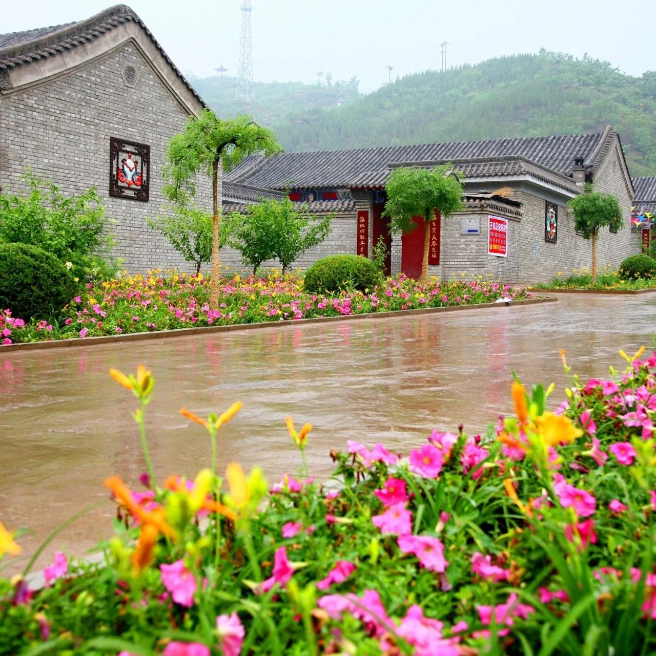 國家稅務(wù)總局：農(nóng)村污水垃圾處理處置項目享受企業(yè)所得稅“三免三減半”