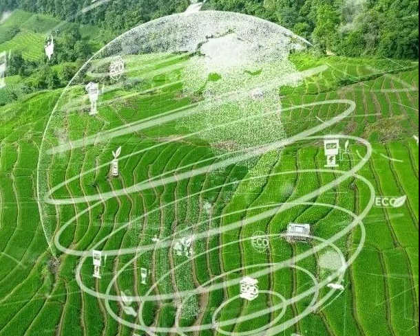 農業(yè)碳匯加速入局碳交易，農產品固碳價值“變現”可期