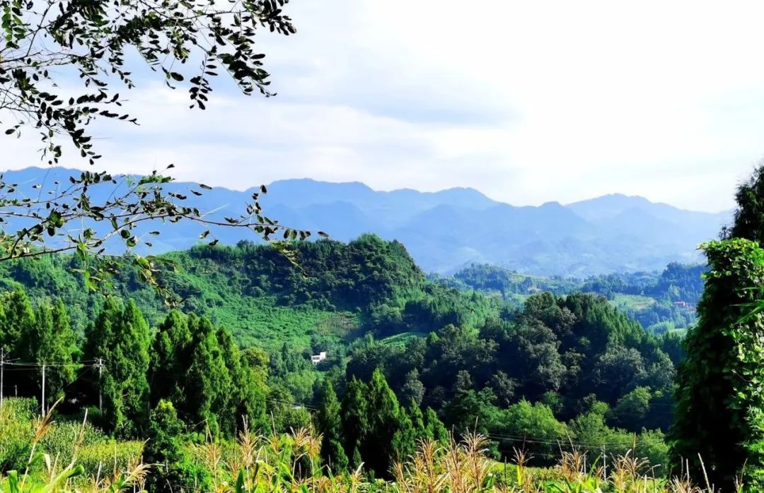 成都：農(nóng)村污水治理專題協(xié)商會探討解決方案