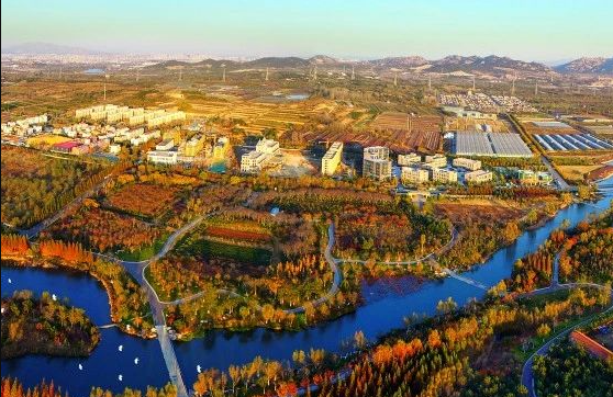 什么是農(nóng)村生活污水全域治理的“青島速度”？