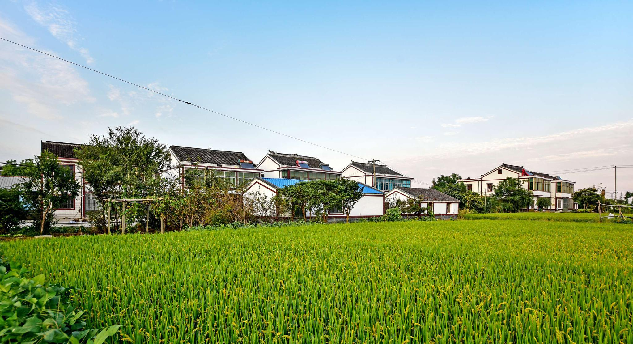 工信部：加快推動出臺《關(guān)于促進(jìn)專精特新中小企業(yè)高質(zhì)量發(fā)展的若干措施》