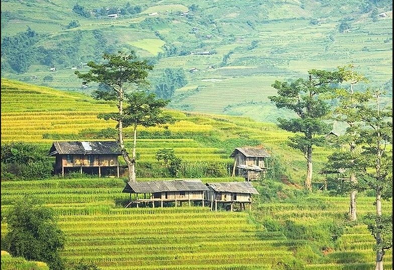 農(nóng)村生活污水凈化裝置團(tuán)體標(biāo)準(zhǔn)通過批準(zhǔn)，12月1日起正式實施