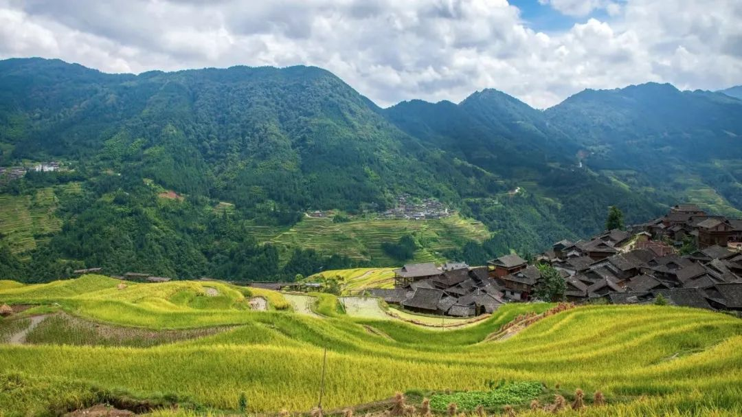 安徽：農(nóng)村黑臭水體整治，強(qiáng)化推進(jìn)會落實(shí)