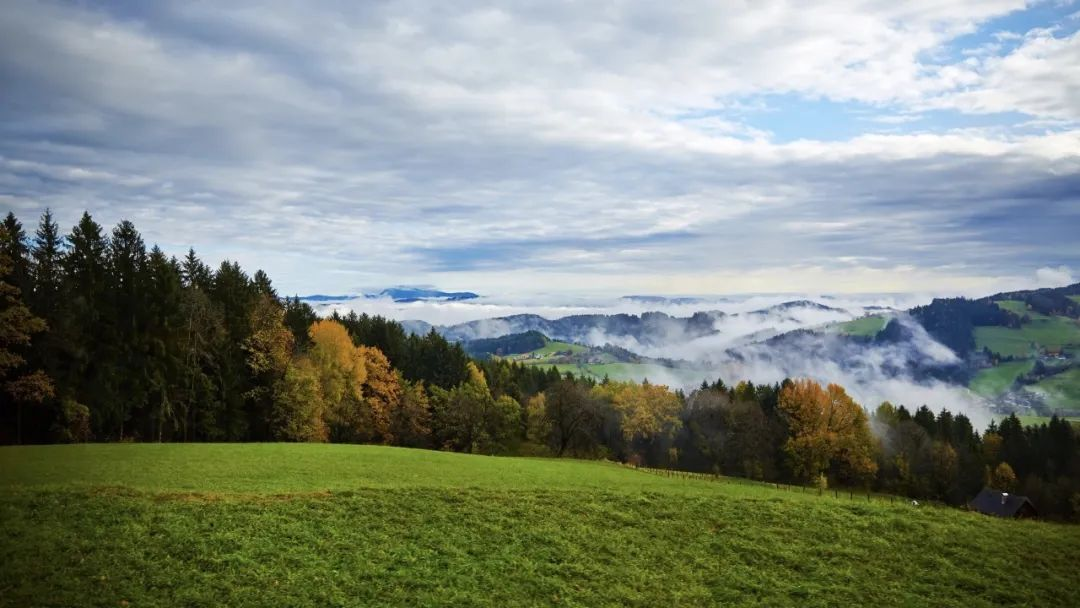 ?？冢恨r(nóng)村黑臭水體整治中的“四下基層”制度應(yīng)用