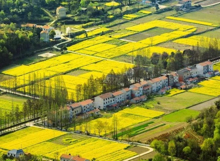 2025年治理率達(dá)到65.76%以上，武漢市農(nóng)村生活污水治理三年行動(dòng)實(shí)施方案發(fā)布