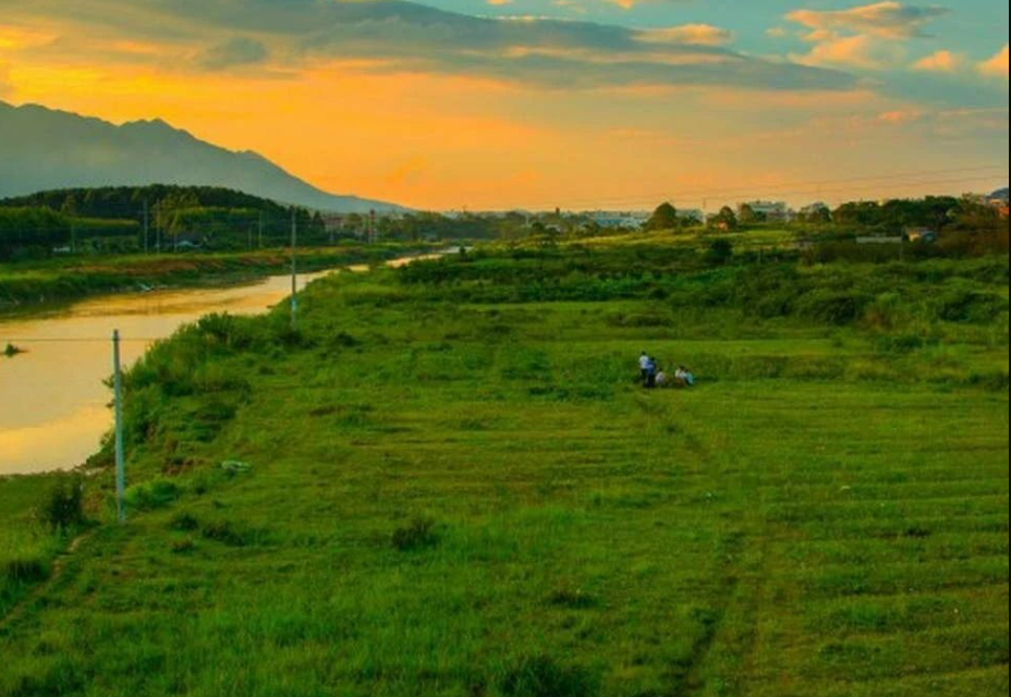 湖南省2024年擬推薦的地方生態(tài)環(huán)境標(biāo)準(zhǔn)項(xiàng)目公示