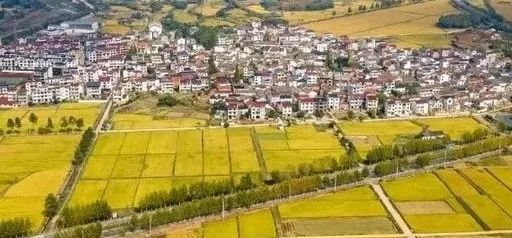 未來5年，鄉(xiāng)村產(chǎn)業(yè)8大投資重點(diǎn)在哪里？