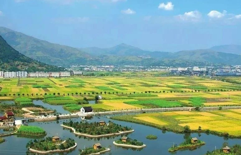 鄉(xiāng)村振興工作滯后，約談！江西省委、省政府發(fā)布《江西省鄉(xiāng)村振興責(zé)任制實(shí)施細(xì)則》