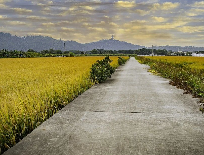 12月16日?qǐng)?zhí)行！廣東省農(nóng)業(yè)農(nóng)村廳 廣東省財(cái)政廳關(guān)于印發(fā)《廣東省現(xiàn)代農(nóng)業(yè)產(chǎn)業(yè)園財(cái)政資金管理辦法（修訂）》的通知