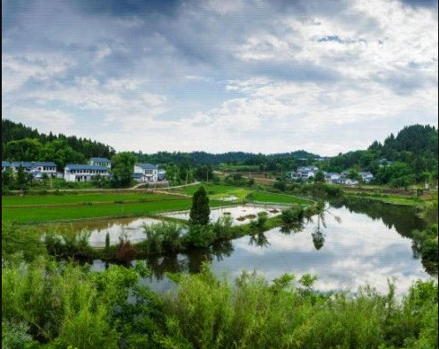 工廠化養(yǎng)殖成大趨勢(shì)！農(nóng)業(yè)農(nóng)村部發(fā)布《現(xiàn)代設(shè)施漁業(yè)建設(shè)專項(xiàng)實(shí)施方案（2023-2030年）》