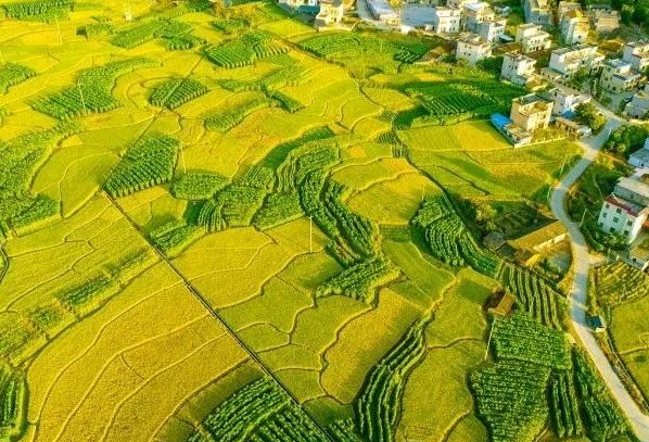 農(nóng)村污水處理：不同省份如何因地制宜？