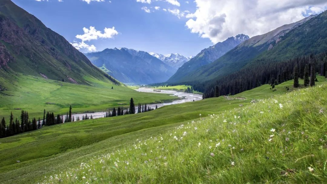 農(nóng)村污水治理：破解難題，共建美麗鄉(xiāng)村