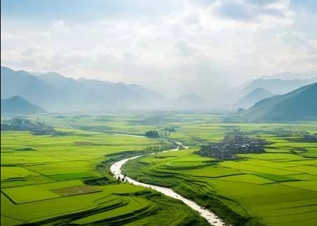 《農(nóng)村黑臭水體治理工作指南》來(lái)了！