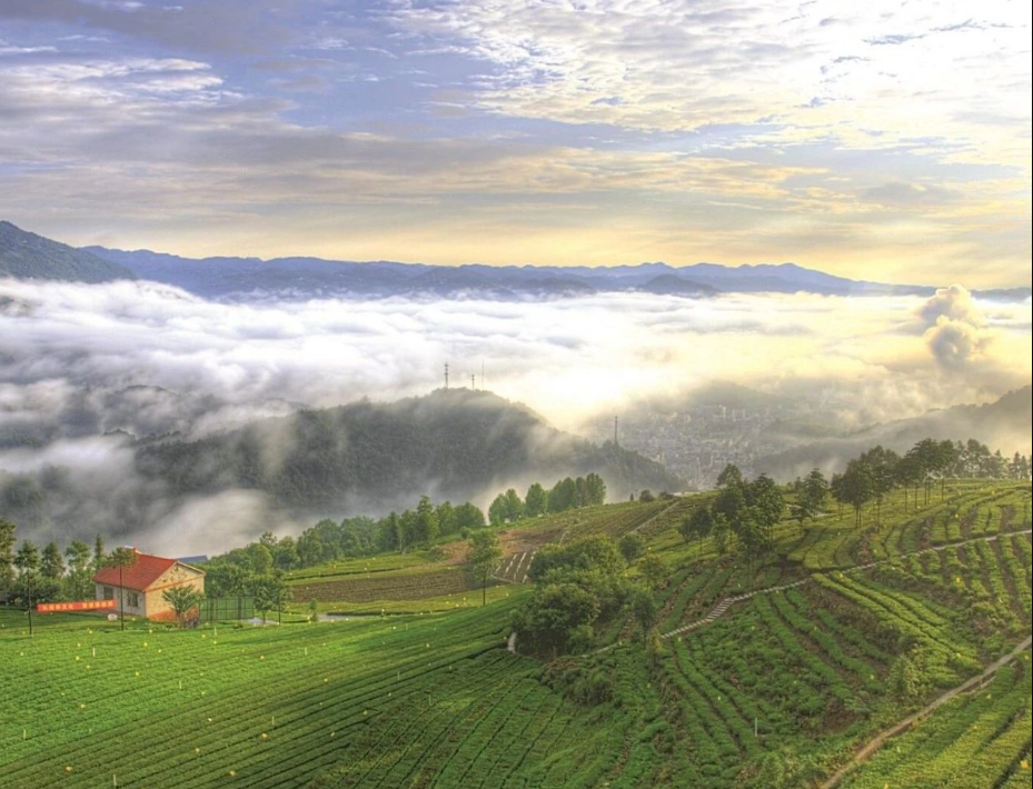 農村生活污水治理率達到46.58%，湖北省印發(fā)2024年全省生態(tài)環(huán)境工作要點