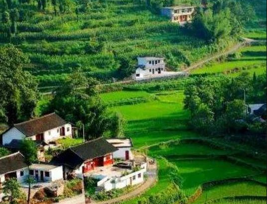 農(nóng)業(yè)農(nóng)村部辦公廳、財(cái)政部辦公廳關(guān)于做好2024年農(nóng)業(yè)產(chǎn)業(yè)融合發(fā)展項(xiàng)目申報(bào)通知