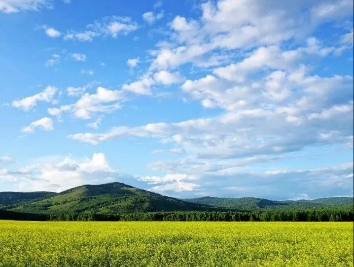 中國(guó)環(huán)保產(chǎn)業(yè)協(xié)會(huì)：2023年水污染治理行業(yè)評(píng)述及2024年發(fā)展展望