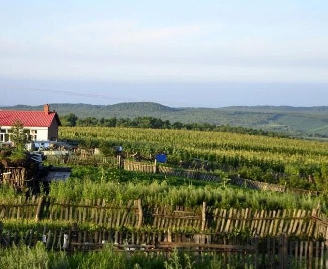 黑龍江省2024年農(nóng)村生活污水、黑臭水體治理工作方案