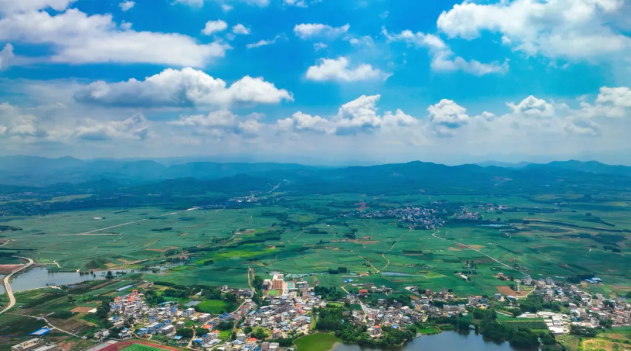 廣州：農(nóng)村污水治理分類施策顯成效