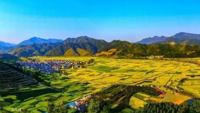 數(shù)字鄉(xiāng)村建設是推動鄉(xiāng)村全面振興的重要突破口