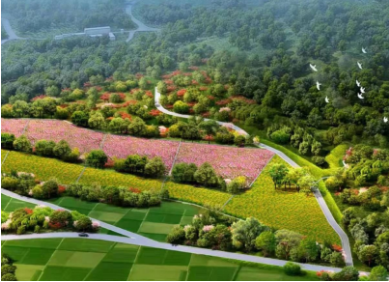 投資EOD項目 ，資金從哪來？