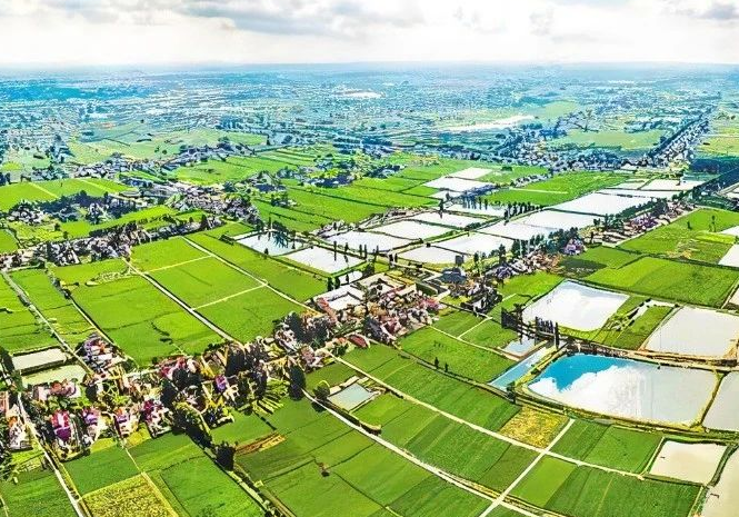 上海市生態(tài)環(huán)境局上海市水務局上海市農業(yè)農村委員會關于進一步強化監(jiān)管提升農村生活污水治理（管控）成效的通知