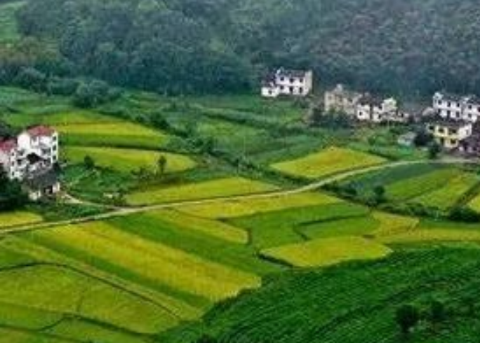 年安排3億元！福建加快推進(jìn)農(nóng)村生活污水提升治理！