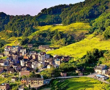 14.15億元！福建下達(dá)鄉(xiāng)村振興示范補(bǔ)助資金