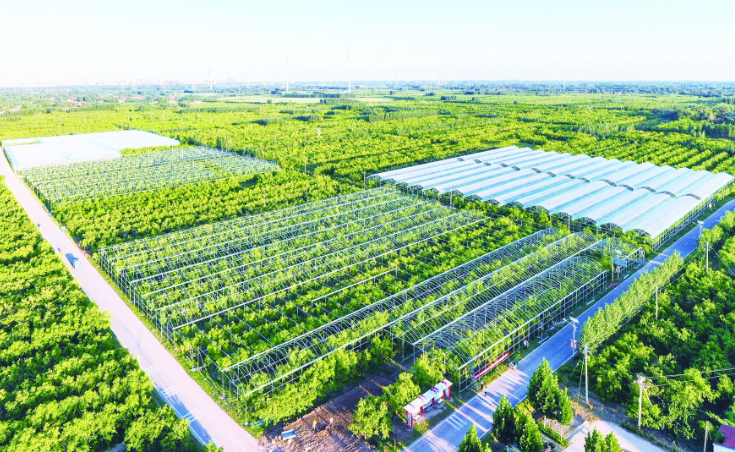 農(nóng)業(yè)農(nóng)村部：持續(xù)加大相關(guān)技術(shù)標(biāo)準(zhǔn)制修訂力度，為現(xiàn)代設(shè)施農(nóng)業(yè)發(fā)展提供更加全面的技術(shù)支撐與指引