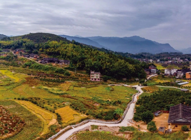 《決定》發(fā)布，與“三農(nóng)”相關(guān)的9個(gè)關(guān)鍵詞