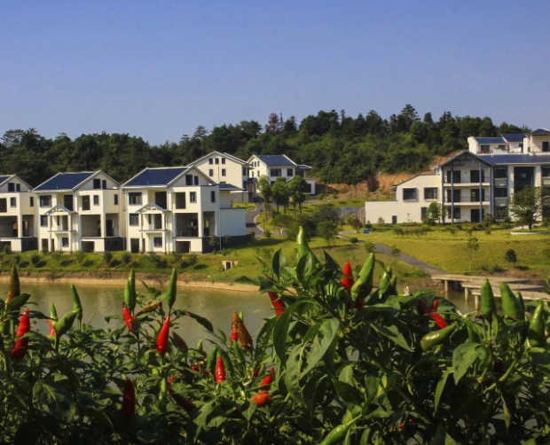 《上海市推動(dòng)職能部門做好生態(tài)環(huán)境保護(hù)工作的實(shí)施意見》發(fā)布