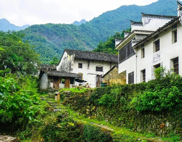 到2026年，安徽將全面消除3621個(gè)農(nóng)村黑臭水體