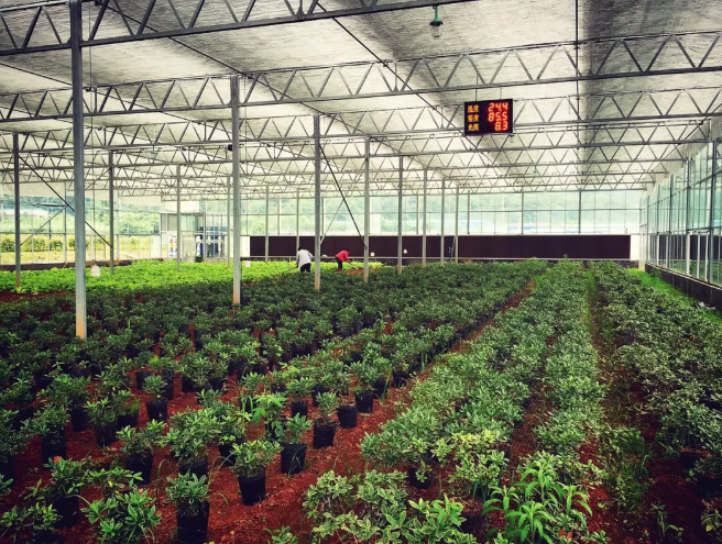 【農(nóng)業(yè)模式】如何打造好“農(nóng)業(yè)+”農(nóng)業(yè)產(chǎn)業(yè)融合發(fā)展模式